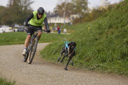 Weinfelden 2024