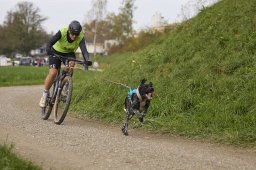 Weinfelden 2024