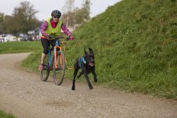 Weinfelden 2024