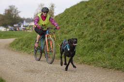 Weinfelden 2024