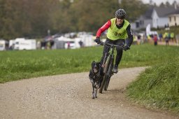 Weinfelden 2024