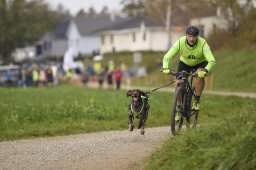 Weinfelden 2024