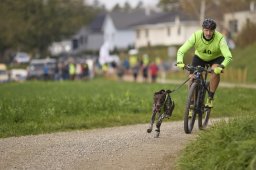 Weinfelden 2024