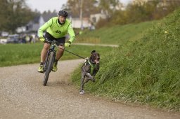 Weinfelden 2024