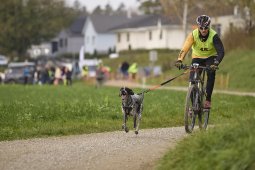 Weinfelden 2024