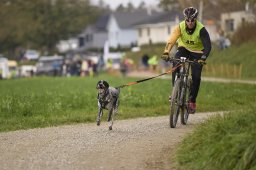 Weinfelden 2024