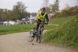 Weinfelden 2024