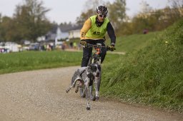 Weinfelden 2024