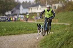 Weinfelden 2024