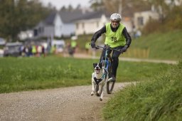 Weinfelden 2024