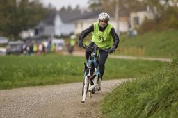 Weinfelden 2024