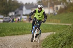 Weinfelden 2024
