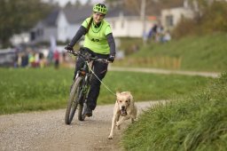 Weinfelden 2024