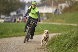 Weinfelden 2024
