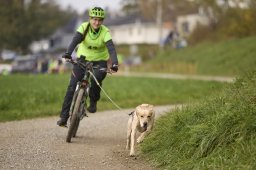 Weinfelden 2024