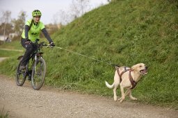 Weinfelden 2024