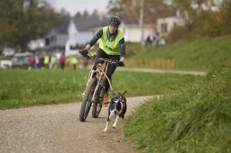Weinfelden 2024