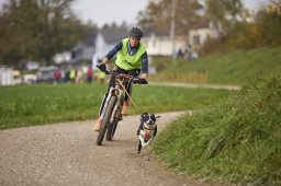Weinfelden 2024