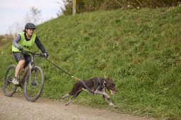 Weinfelden 2024