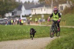 Weinfelden 2024