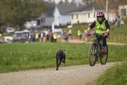 Weinfelden 2024