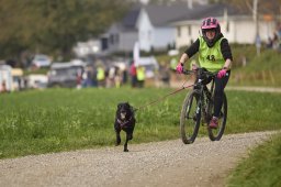 Weinfelden 2024