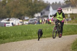 Weinfelden 2024