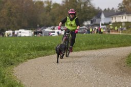 Weinfelden 2024