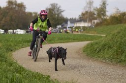 Weinfelden 2024