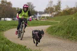 Weinfelden 2024