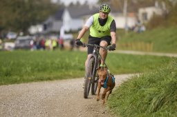 Weinfelden 2024