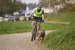 Weinfelden 2024