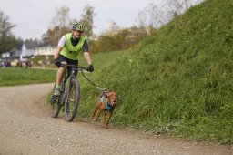 Weinfelden 2024