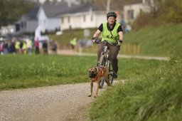 Weinfelden 2024