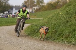 Weinfelden 2024