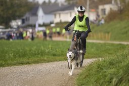 Weinfelden 2024