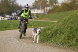 Weinfelden 2024