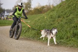 Weinfelden 2024