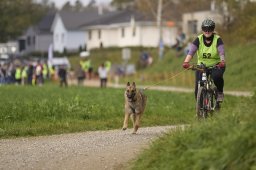 Weinfelden 2024