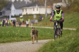 Weinfelden 2024