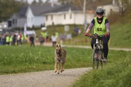 Weinfelden 2024