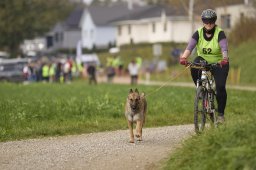 Weinfelden 2024