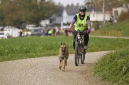 Weinfelden 2024