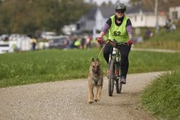 Weinfelden 2024