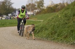 Weinfelden 2024