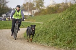 Weinfelden 2024