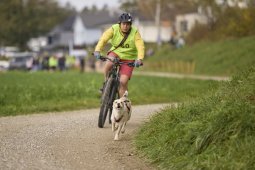Weinfelden 2024