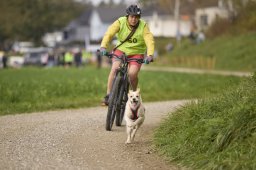 Weinfelden 2024