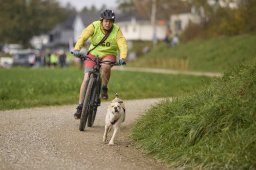 Weinfelden 2024