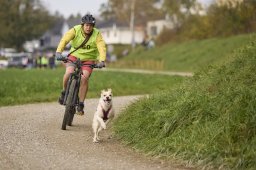 Weinfelden 2024